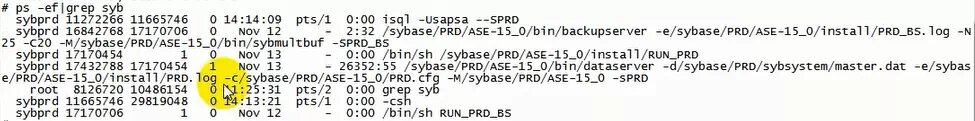 Networker 8.2 Module for Sybase 16.0 AIX安装_Networker 8.2 Module